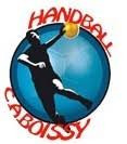 Logo du CA Boissy Handball