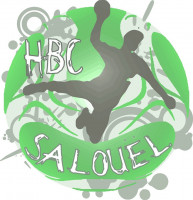 Logo du Handball Club Salouel 3