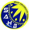 Logo du Sénart Agglomération Handball