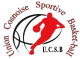 Logo U Cosnoise S Basket