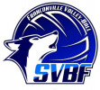 Logo du Societe VB Franconville