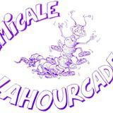 Logo du Amicale Lahourcade 3