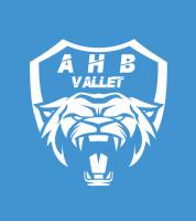 Logo du Association Handball Vallet 2