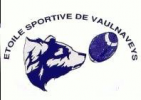 Logo du Etoile Sportive Vaulnaveys