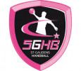 Logo du Comminges Handball