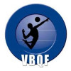 Logo du Volley Balma Quint Fonsegrives