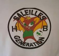 Logo du Saleilles Generation Handball