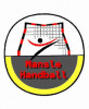 Logo du Mansle Falm HB