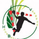 Logo Vergeze Handball 2