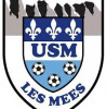Logo du US Meenne
