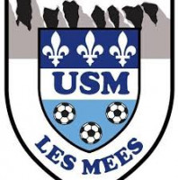 Logo du US Meenne