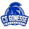 Logo du Club Sportif de Gonesse
