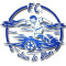 Logo FC St. Jean le Blanc 2