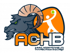 Logo Alès Cévennes Handball - Moins de 13 ans