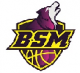 Logo Basket Saint Macaire