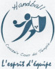 Logo du Handball Couzeix / Cour du Temple