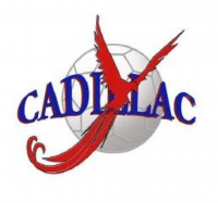 Logo du UA Cadillac Handball 2