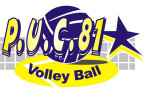 Logo du Puygouzon Castelnau Volley Ball