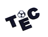 Logo du Toulouse Electrogaz Club