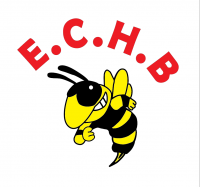 Logo du Eclair Chauve Handball