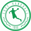 Logo du CO St Fons Handball