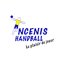 Logo du Ancenis Handball 2