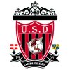 Logo du US Domessin