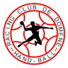 Logo du RC Domène HB