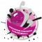 Logo Roanne Riorges Handball