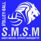 Logo SMS Marquette VB