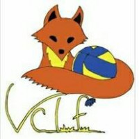 Logo du Volley Ball Club Laferois