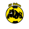 Logo du Ent.S. Guines