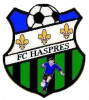 Logo du Haspres Football Club