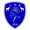 Logo du US de Rousies