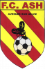 Logo du FC Avesnes S/Helpe 96