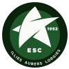 Logo du Illies Aubers Etoile SC