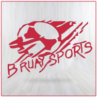 Logo du S Bruay S/Escaut 2