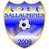 Logo du Av. Ouvrier SC Sallaumines