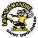 Logo Salamandre St Doulchard
