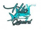 Logo du Guiscard HBC