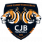 Logo CJ Bouguenais Handball