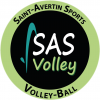Logo du Saint Avertin Sports Volley