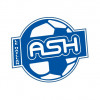 Logo du AS le Haillan Football