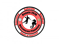 Logo du ASSOCIATION CULTURELLE HANDBALL 