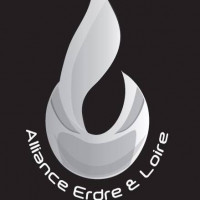 Logo du Alliance Erdre et Loire