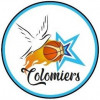 Logo du Colomiers Basket