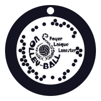 Logo du FL Lanester Volley-Ball