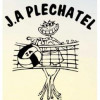 Logo du Jeanne d'ARC de Plechatel