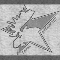 Logo du Roller Hockey Collegien 3