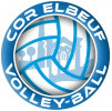 Logo du COR Elbeuf Volley-Ball